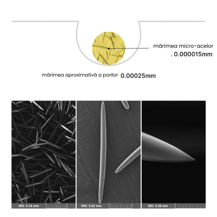 Crema-booster cu retinal 0,1% si micro-ace